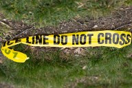 Mini-bike rider killed after hitting tree stump