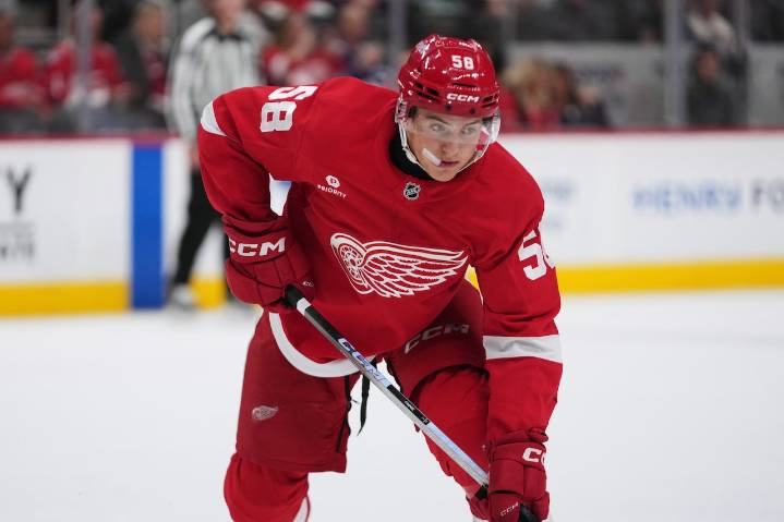 Detroit Red Wings rookies ready for key roles in NHL debut
