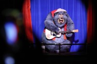 Walt Disney World Audio-Animatronics spied in 4 theme parks