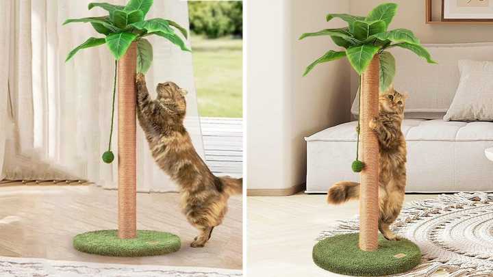 Save 28% on a playful cat scratching post at Amazon's October sale