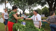 La Muni y el Mercado en tu Barrio acercaron productos frescos y servicios municipales a la plaza Mbororé