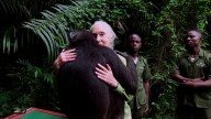 Muere a los 91 años la etóloga británica Jane Goodall