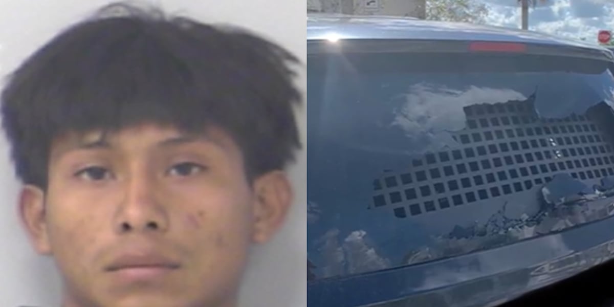 19-year-old accused of throwing large rock through window of ICE vehicle during operation