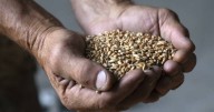 Pope urges world 'not to look the other way' on hunger
