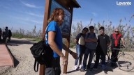 La vida vuelve al Tancat de la Pipa