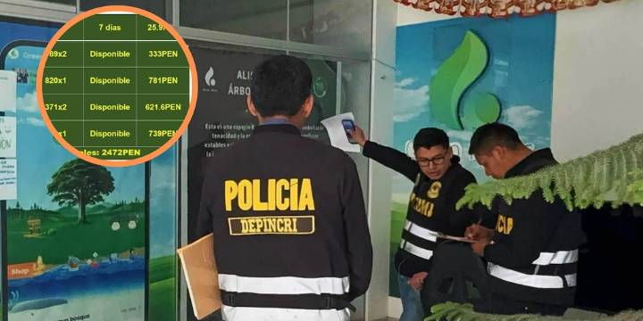 Prometían ganancias por “sembrar árboles digitales”: la estafa ecológica que afectó a familias en siete regiones del Perú