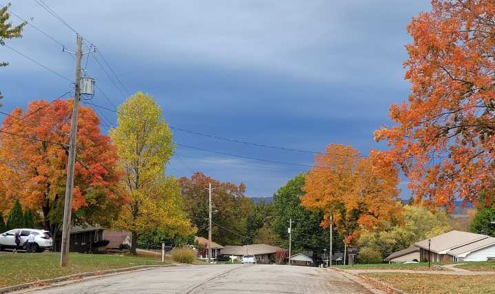 Missourians start digging to replace tornado-damaged tree canopies (LISTEN)