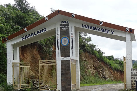 Nagaland University researchers identify plant compound to heal diabetic wounds