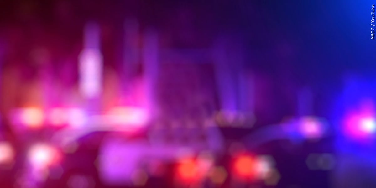 Carson City woman accused of kidnapping has charges downgraded