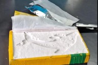 Cayó una red narco con dos kilos de cocaína en General Pico
