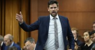 Liberals to introduce bill with tougher bail, sentencing rules
