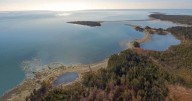 Five things about Nova Scotia's decision to approve Whale Sanctuary Project