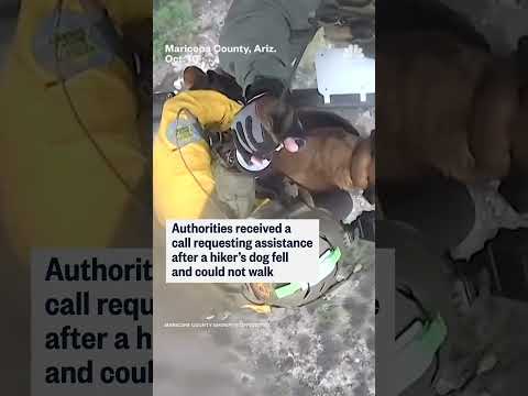 Dog airlifted after getting injured during hike in Arizona canyon