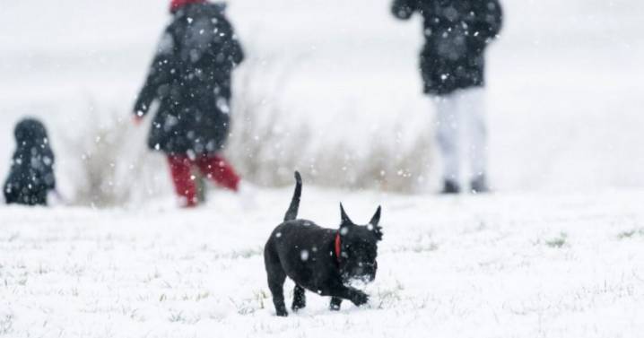 UK faces first snow of autumn with '169 miles' at risk of flurries
