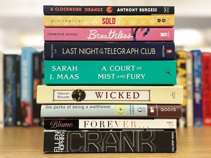 PEN America warns of rise in books 'systematically removed from school libraries'