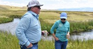 Madison County ranch land would be first FWP conservation lease in Region 3