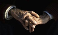 Científicos revierten el alzhéimer en ratones mediante nanopartículas