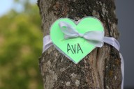 18-year-old who killed girl in UTV accident on Sauvie Island pleads guilty