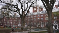 Harvard's unblinking hypocrisy: Dean denounces 'evil' police, 'whiteness' 