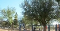 Tucson Parks and Recreation trims some hours as city addresses revenue shortfall