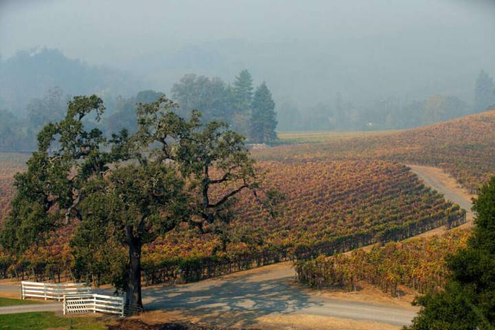 UC Berkeley researchers find 75% of surveyed field workers labored during Sonoma County wildfires since 2017