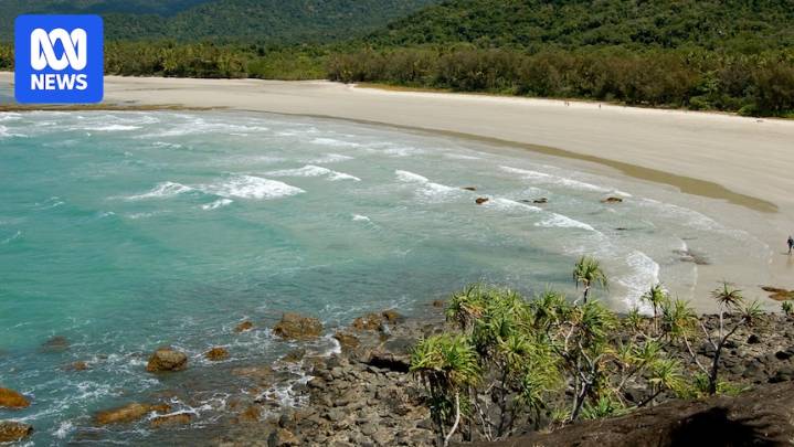 Crocodile mauls boy, 14, at Cape Tribulation beach