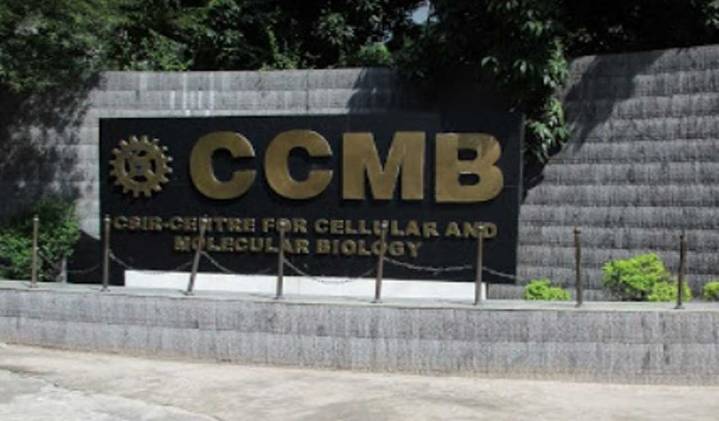 Indian Sindhi DNA is distinct from Pakistani counterparts, finds CCMB study