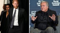 Prince Harry and Steve Bannon Join Forces Against Superintelligence Development