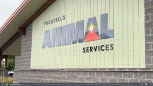 Local animal shelter hosts ‘Pupkin’ adoption event