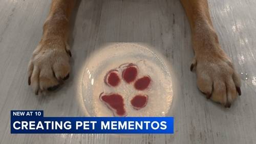 Make a lasting memento of your furry family member at this NJ glass blowing studio