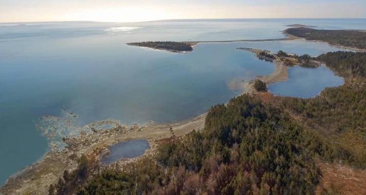 Nova Scotia government gives Whale Sanctuary Project approval to build coastal refuge