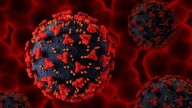 COVID-19 making a comeback in the US? XFG stratus variant now dominant in 19 states