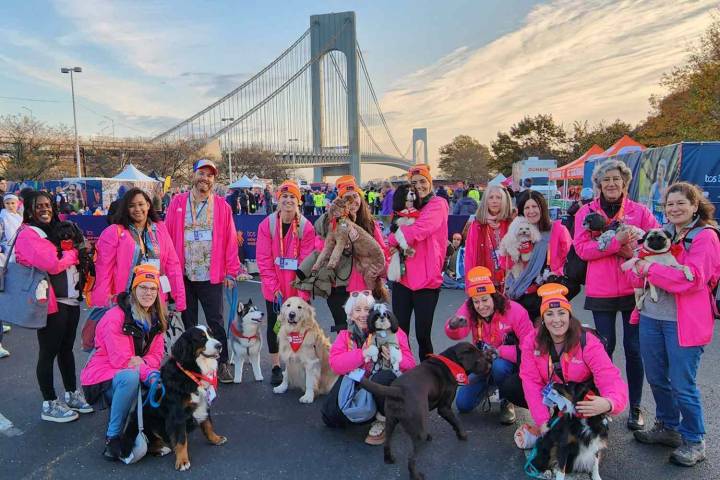 Therapy Dogs Will Be at the Starting Line of the 2025 New York City Marathon (Exclusive)