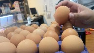 Día mundial del huevo: un súper alimento que bate récords en Argentina
