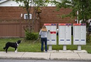 Quebec election czar OKs alternative delivery of documents due to postal strike