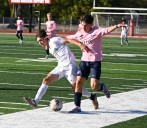 Zajac, Sterling Heights Stevenson upsets Cousino to earn district finals date