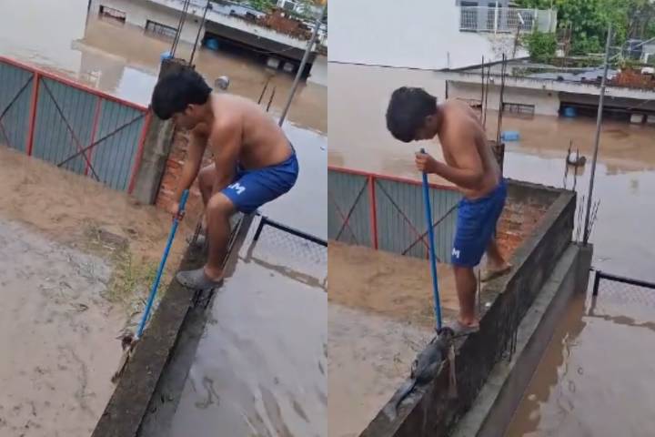 Joven arriesga todo para salvar a un gato en medio de las inundaciones en Veracruz