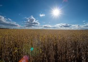 4 Republicans back Senate resolution to undo President Trump's tariffs around the globe