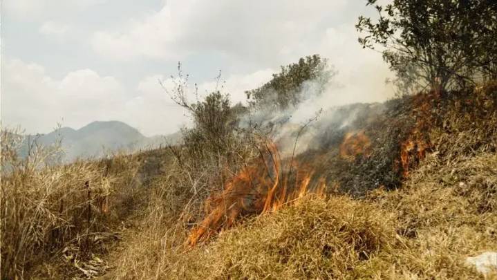 Doce años de incendios forestales en el Perú dejaron un área quemada diez veces más grande que Lima Metropolitana