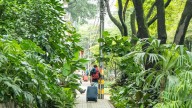 El destino colombiano elegido como uno de los mejores lugares del mundo para viajar en 2026, según National Geographic