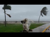 LIVE CAMERA IN JAMAICA: Hurricane Melissa moves toward Kingston Harbor