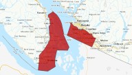 Wind warning issued for parts of B.C.’s South Coast, including sections of Metro Vancouver