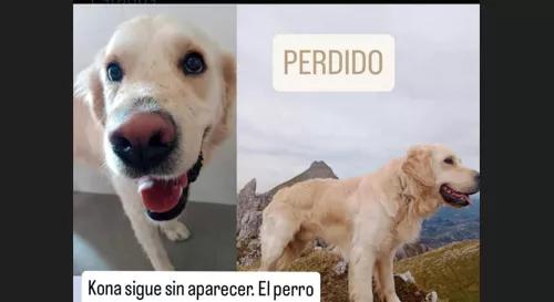 La familia de la joven fallecida en Panticosa pide ayuda para encontrar a su perro desaparecido