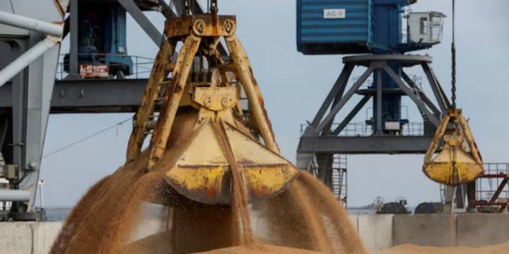 Fuerte avance del agro: récord en trigo, auge sojero y maíz competitivo