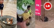 Héroes locales rescatan mascotas en medio de la inundaciones por lluvias en Veracruz