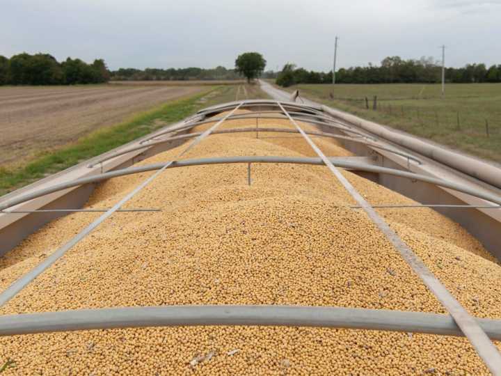 Previa a la cumbre entre Donald Trump y Xi Jinping, China volvió a comprar soja a Estados Unidos