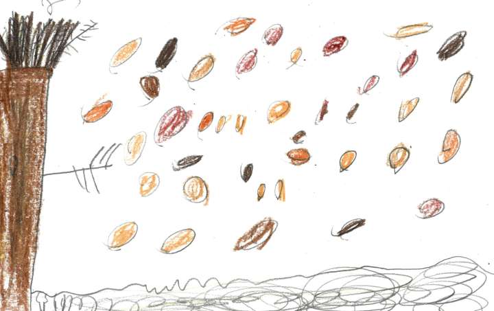 Weather Drawing: Windy days blow leaves away