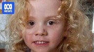 Police urge public not to contact them with 'opinions' amid search for missing 4yo Gus