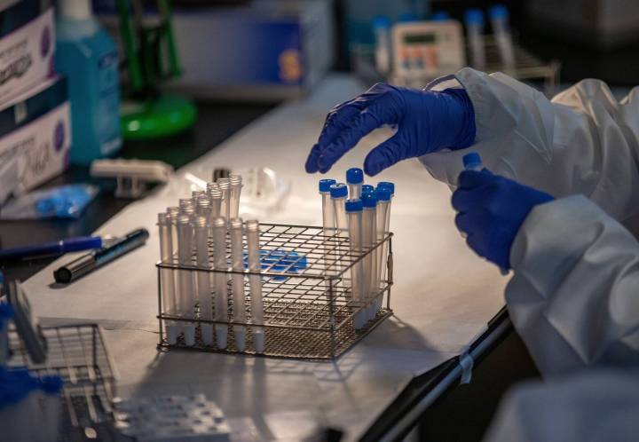Un 'virus de tripa' con fiebre corre por Zaragoza mientras repunta una variante de Covid