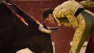 El torero Daniel Luque ingresado en el hospital tras la cogid: “No tendrá secuelas”